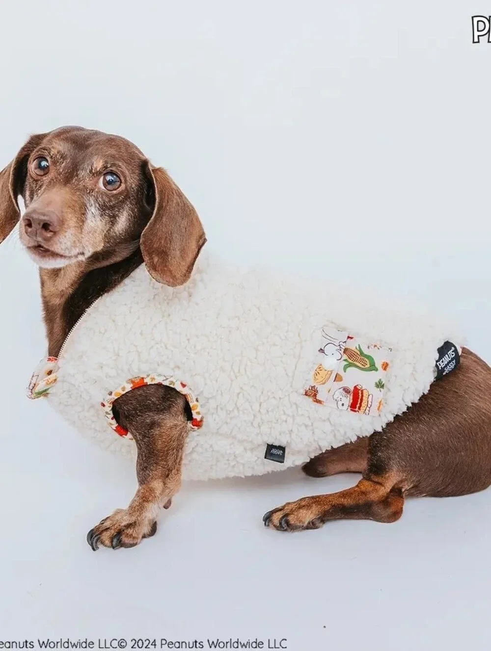 Peanuts™ Fall Print Dog Hoodie - Cream with Orange Accents